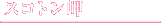 �X�R�g����