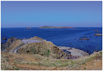 �X�R�g�����̎ʐ^