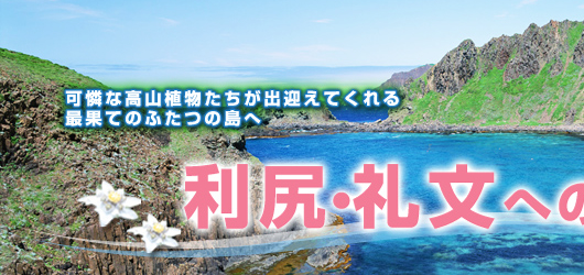 ���K�E�當�ւ̗�