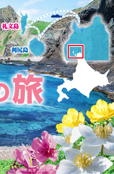 ���K�E�當�ւ̗�