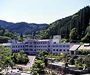 大分県 宝泉寺温泉 宝泉寺観光ホテル湯本屋