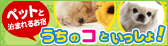 �y�b�g�Ɣ��܂�邨�h