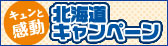 �k�C���L�����y�[��
